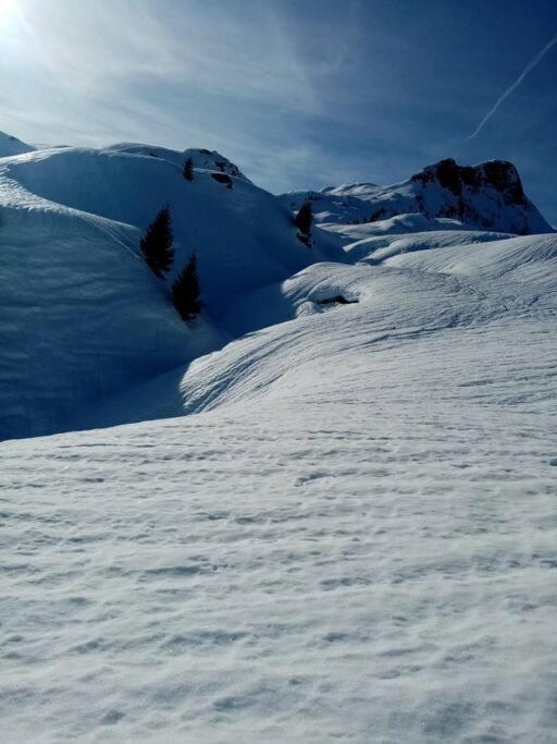 L'Appartement Les Bossons En Lisiere De Foret Dans Le Chalet Genepi Arêches Exterior foto